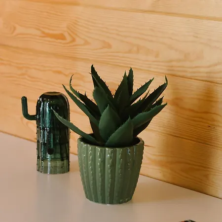 Marianowka Wiezyca Potuly