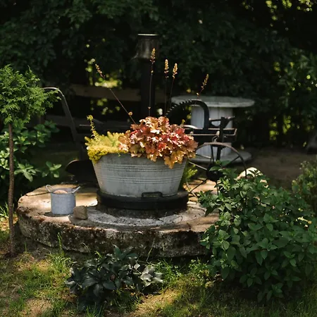 Dağ evi Marianowka Wiezyca Potuly