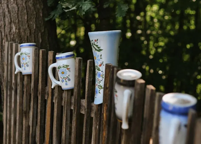 Marianowka Wiezyca Alpstuga *