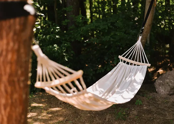 Marianowka Wiezyca Potuly