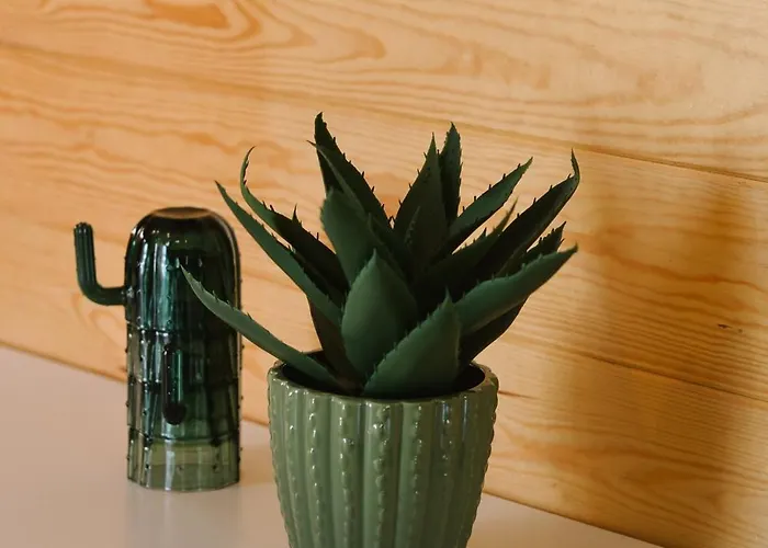 Marianowka Wiezyca Potuly