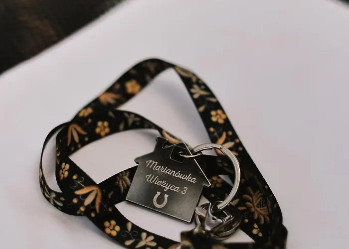 Marianowka Wiezyca Dağ evi *