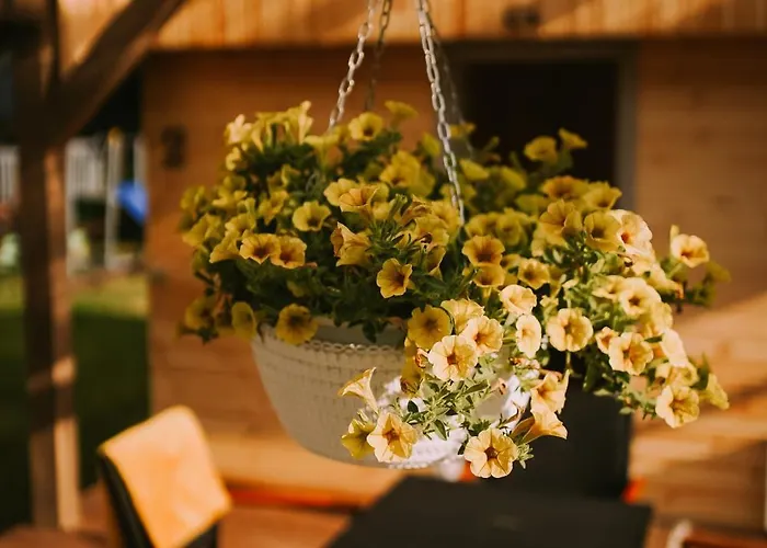 Dağ evi Marianowka Wiezyca Potuly